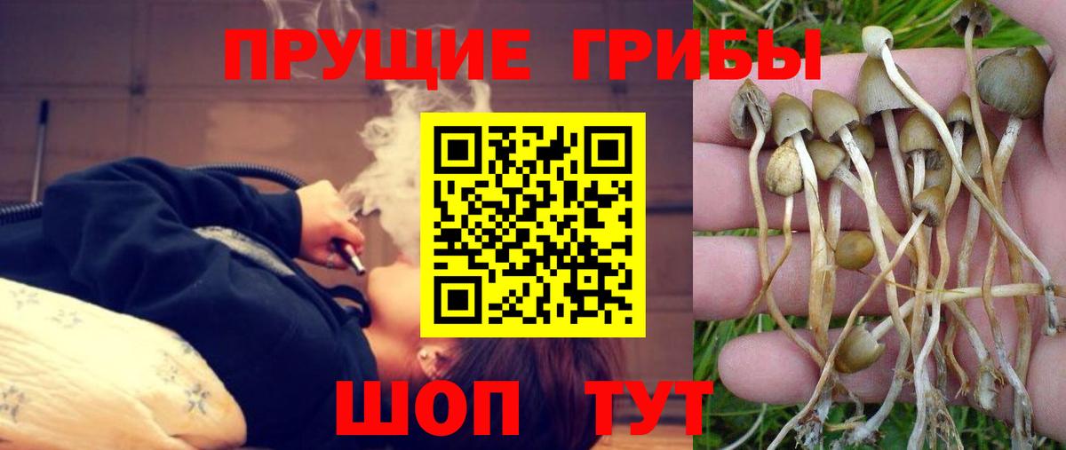 Галлюциногенные грибы мухоморы Тында
