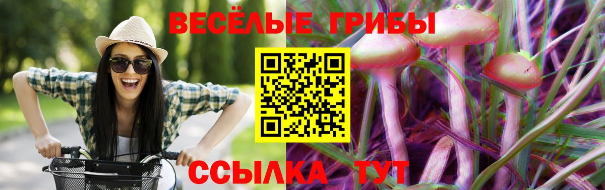 Тында  Псилоцибиновые грибы мухоморы  Галлюциногенные грибы GOLDEN TEACHER  Вход с VPN 